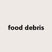 food debris是什么意思