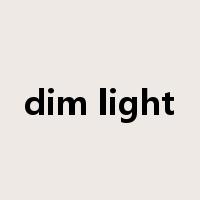 dim light是什么意思