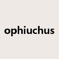 ophiuchus是什么意思