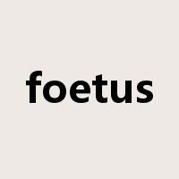 foetus是什么意思