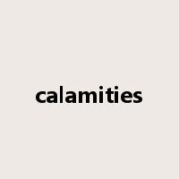calamities是什么意思