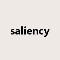saliency是什么意思