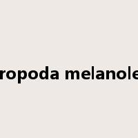 ailuropoda melanoleuca是什么意思