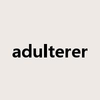 adulterer是什么意思
