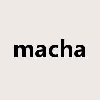 macha是什么意思