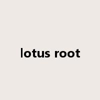 lotus root是什么意思