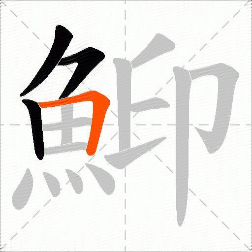 鮣
