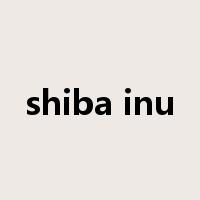 shiba inu是什么意思