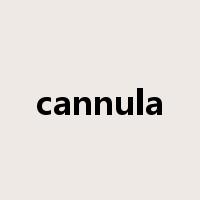 cannula是什么意思
