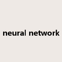 neural network是什么意思