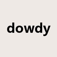 dowdy是什么意思