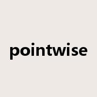 pointwise是什么意思