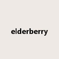 elderberry是什么意思