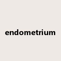 endometrium是什么意思