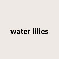 water lilies是什么意思