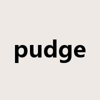 pudge是什么意思
