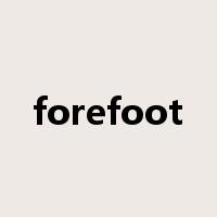 forefoot是什么意思