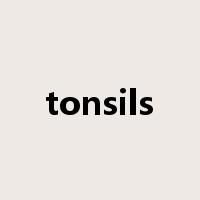 tonsils是什么意思