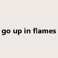 go up in flames是什么意思