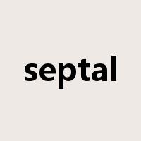 septal是什么意思