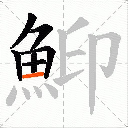 鮣