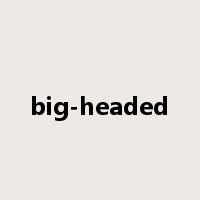 big-headed是什么意思