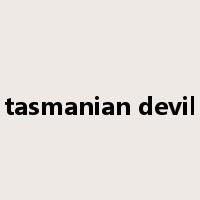 tasmanian devil是什么意思