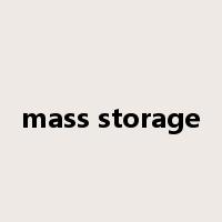 mass storage是什么意思