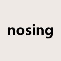 nosing是什么意思