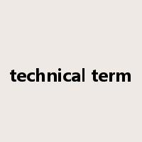 technical term是什么意思