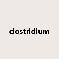 clostridium是什么意思