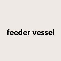 feeder vessel是什么意思