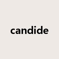 candide是什么意思