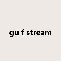 gulf stream是什么意思