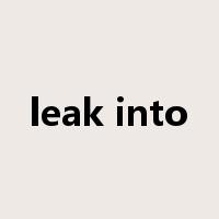 leak into是什么意思