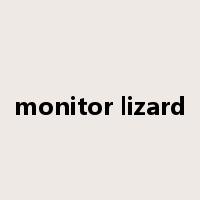 monitor lizard是什么意思