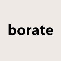 borate是什么意思