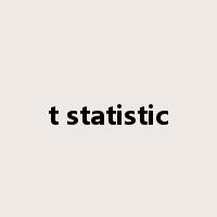 t statistic是什么意思