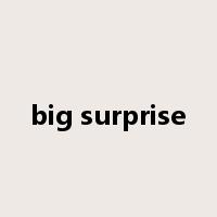 big surprise是什么意思