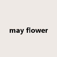 may flower是什么意思