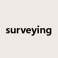 surveying是什么意思