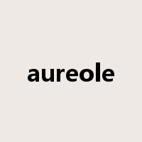 aureole是什么意思