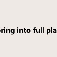 bring into full play是什么意思