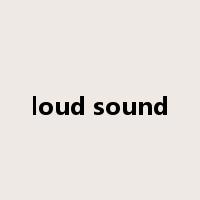 loud sound是什么意思