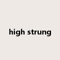 high strung是什么意思