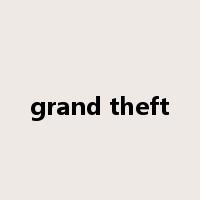 grand theft是什么意思