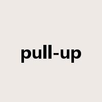 pull-up是什么意思