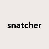 snatcher是什么意思