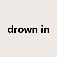 drown in是什么意思