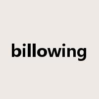 billowing是什么意思